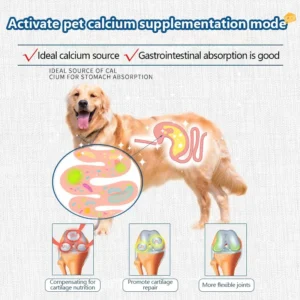 Pet Freeze-dried Food High Calcium Cheese Rich in Nutrients Cat Dog Snacks Aid Digestion Snacks Calcium Supplements Dairy tablet - Image 5